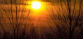 /album/galleria-foto-paesaggi/tramonto-scuro-d-jpg/